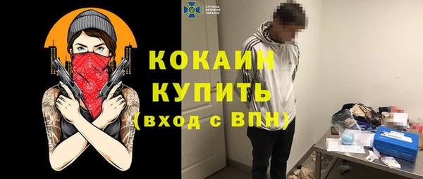 шишки Карталы
