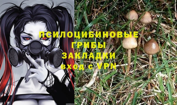шишки Карталы