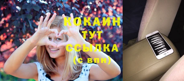 гидра Каменногорск