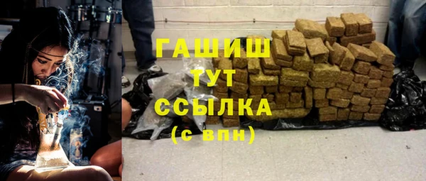 гидра Каменногорск