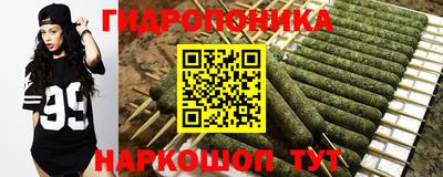 PSILOCYBIN Краснодар