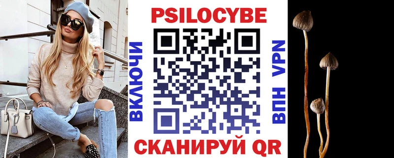 Псилоцибиновые грибы мухоморы где купить наркоту Коммунар