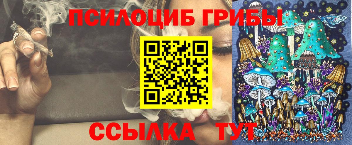 Галлюциногенные грибы MAGIC MUSHROOMS Коммунар